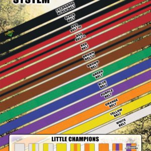 James Cox Martial Arts Belt Ranks